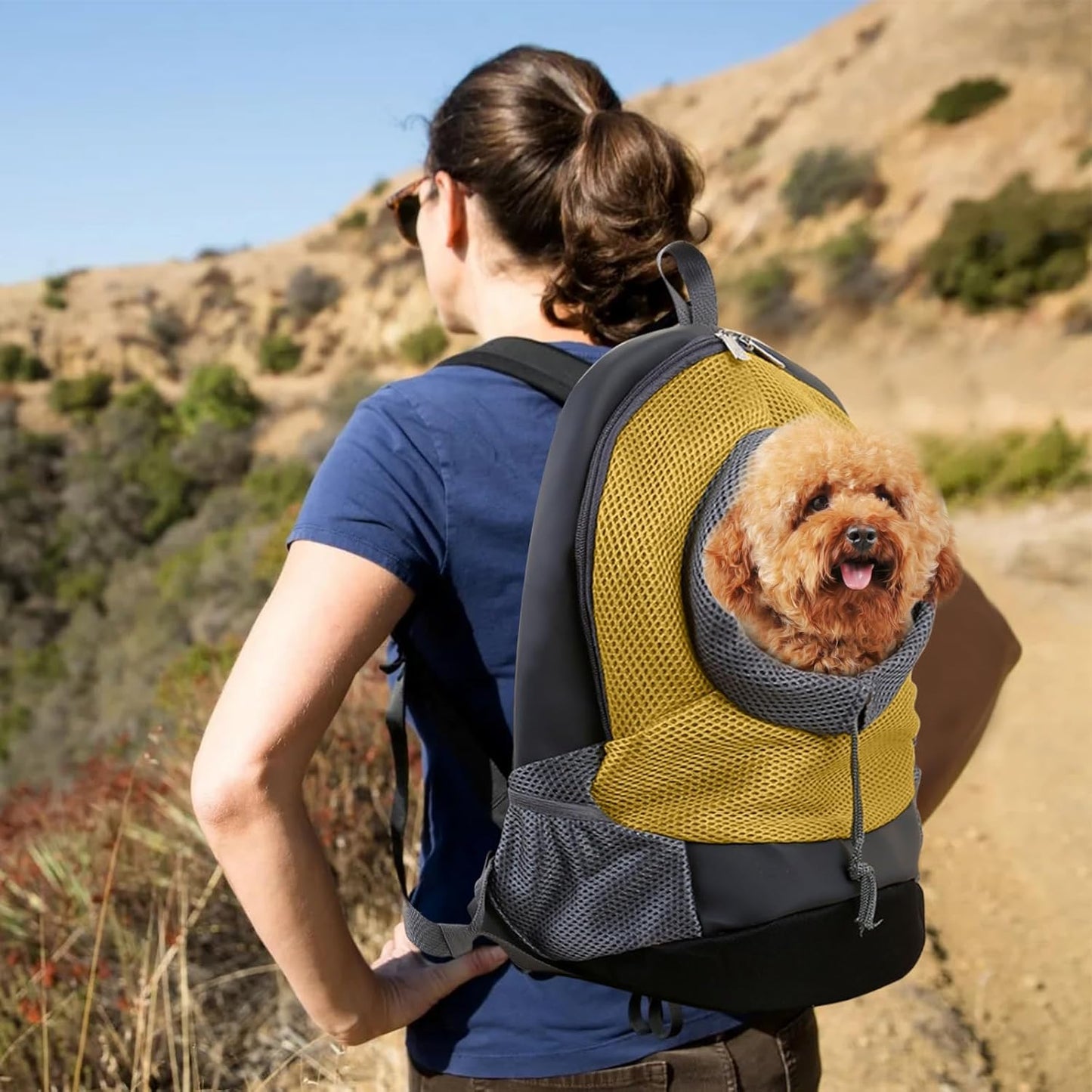 Rucksack für kleine Hunde Transporttasche, M Gelb