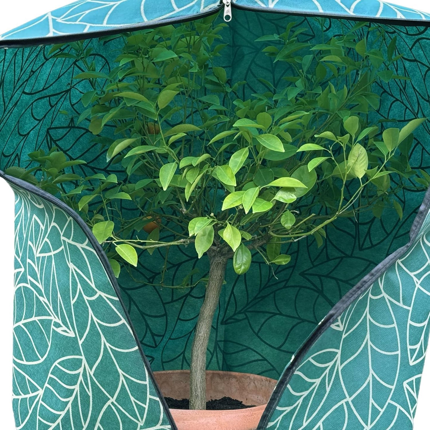 Winterschutz für Pflanzen, 60x80 cm, 1 60 X 80 CM