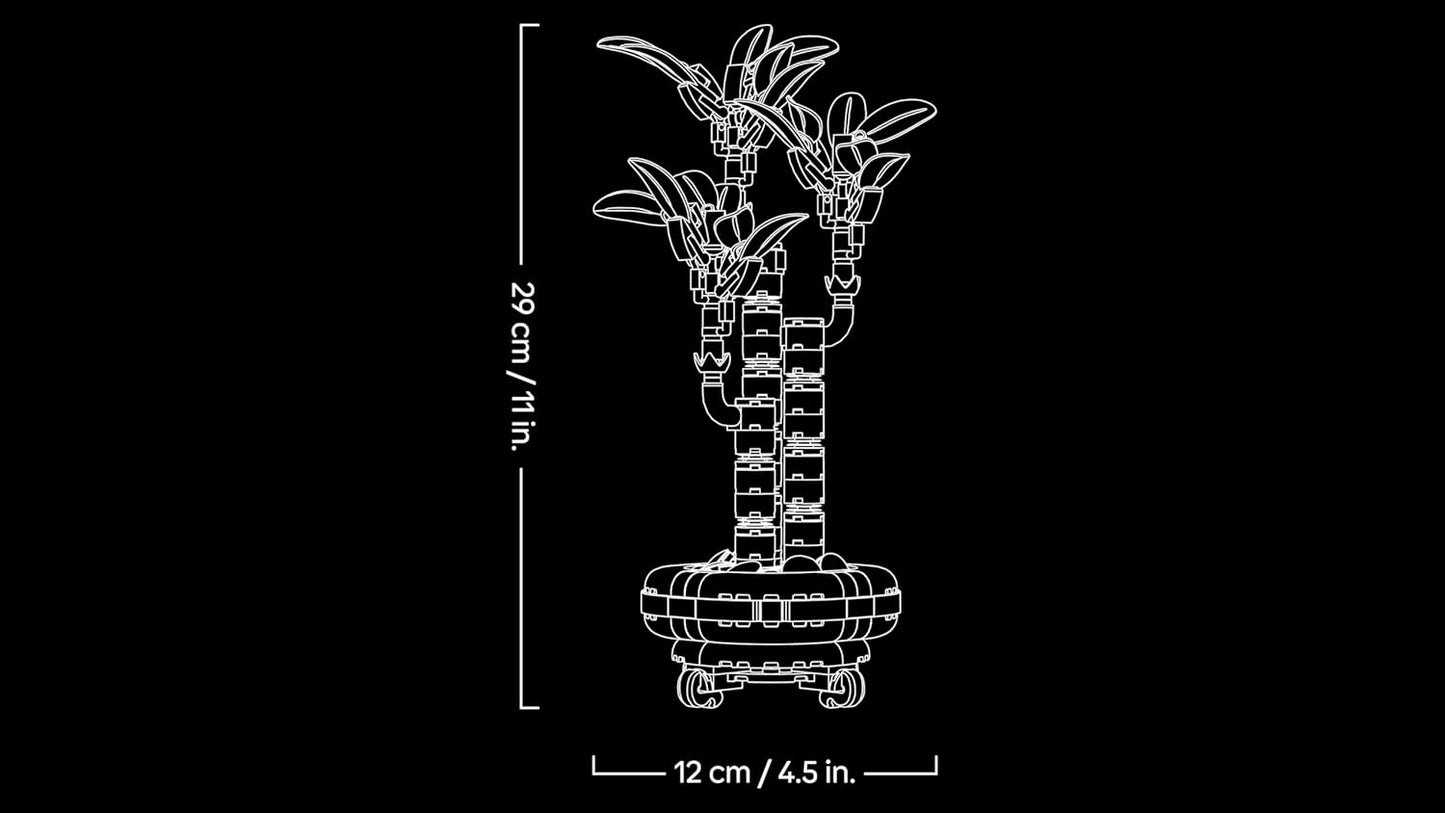 Botanicals Glücks-Bambus