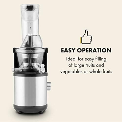 Fruitberry Slow Juicer