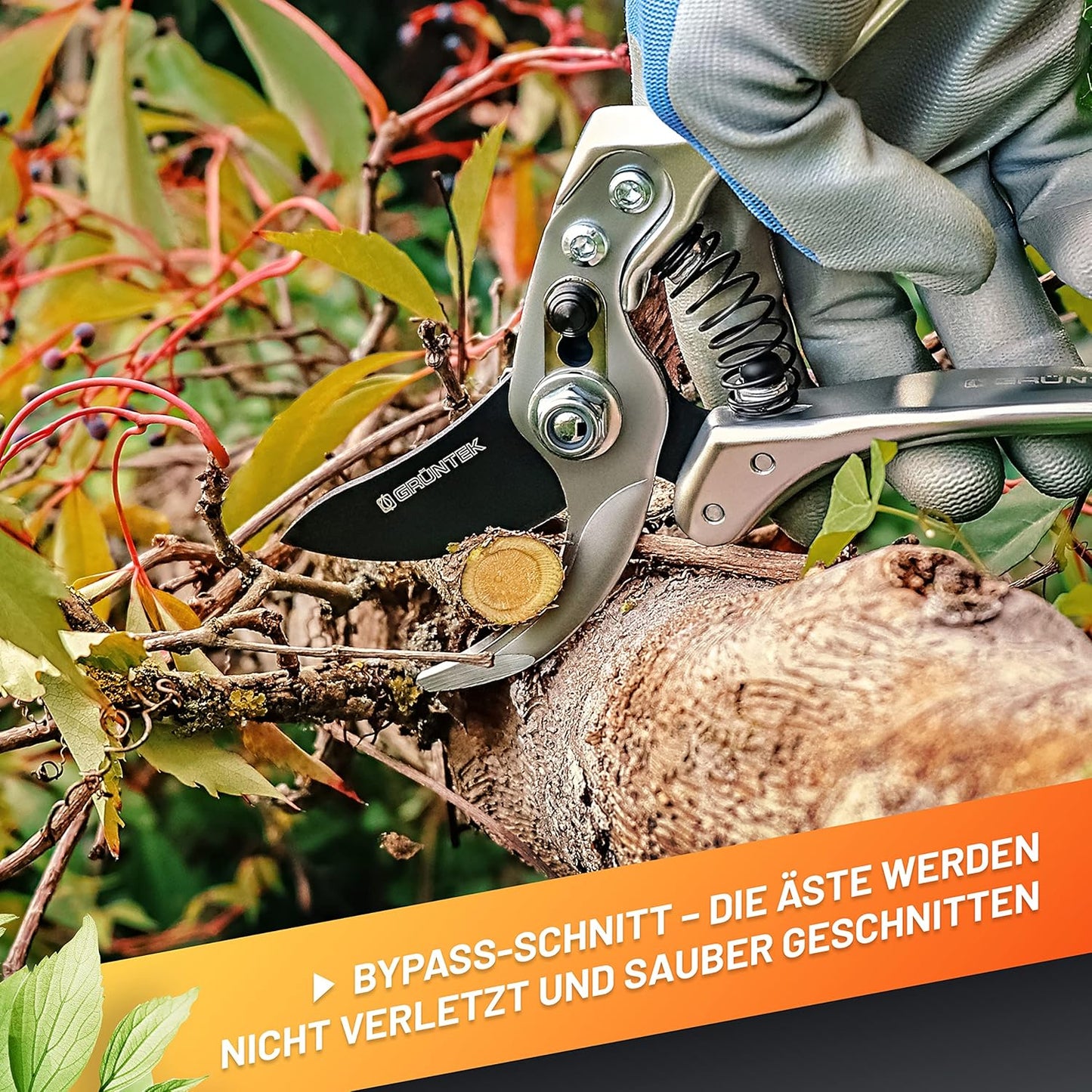 Gartenschere - Silberschnitt-Bypass, 4. Silberschnitt-Bypass