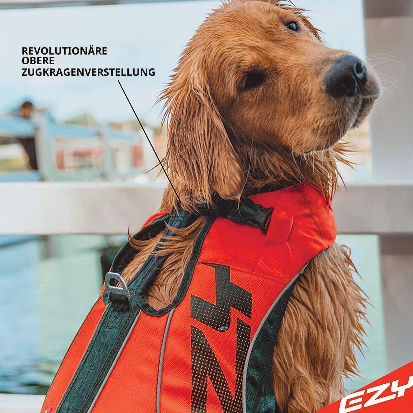 Schwimmweste für Hunde DFD X2 Boost, Rosa L
