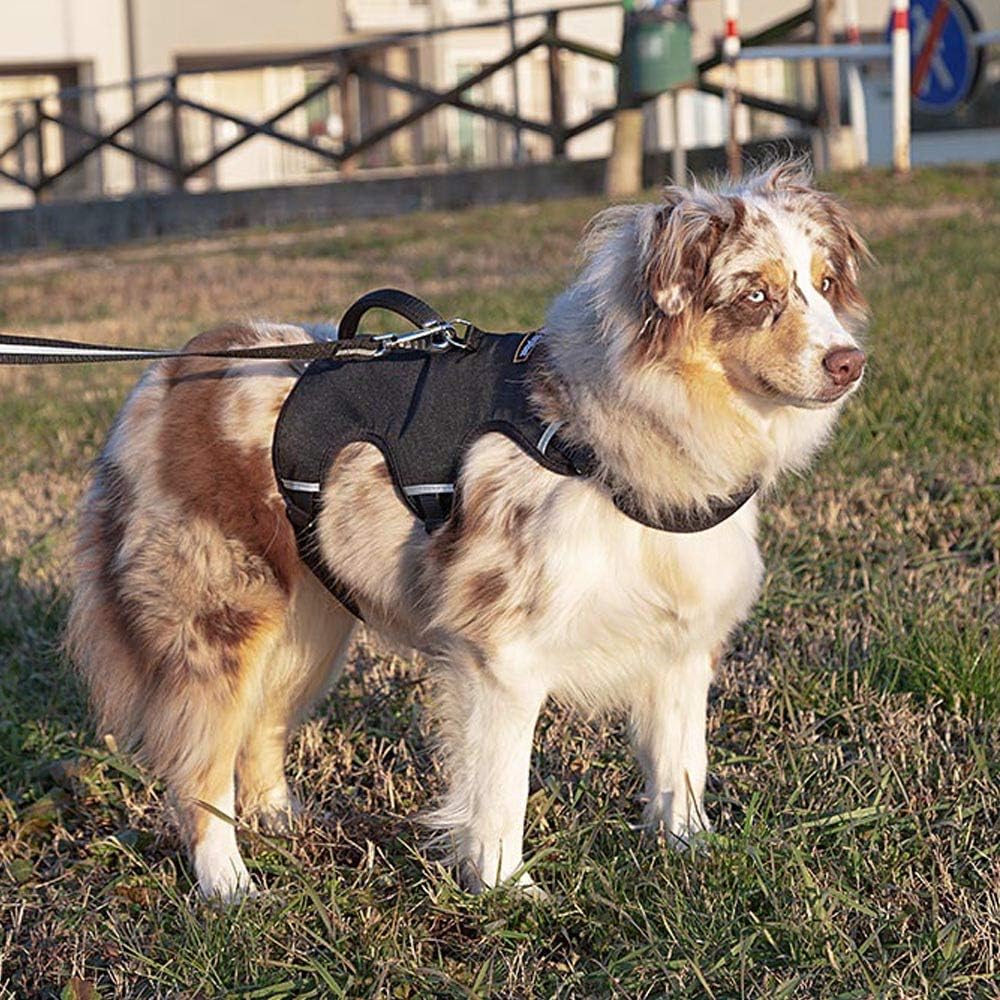 Ausbruchsicheres Hundegeschirr ERGOTREKKING, Schwarz Large