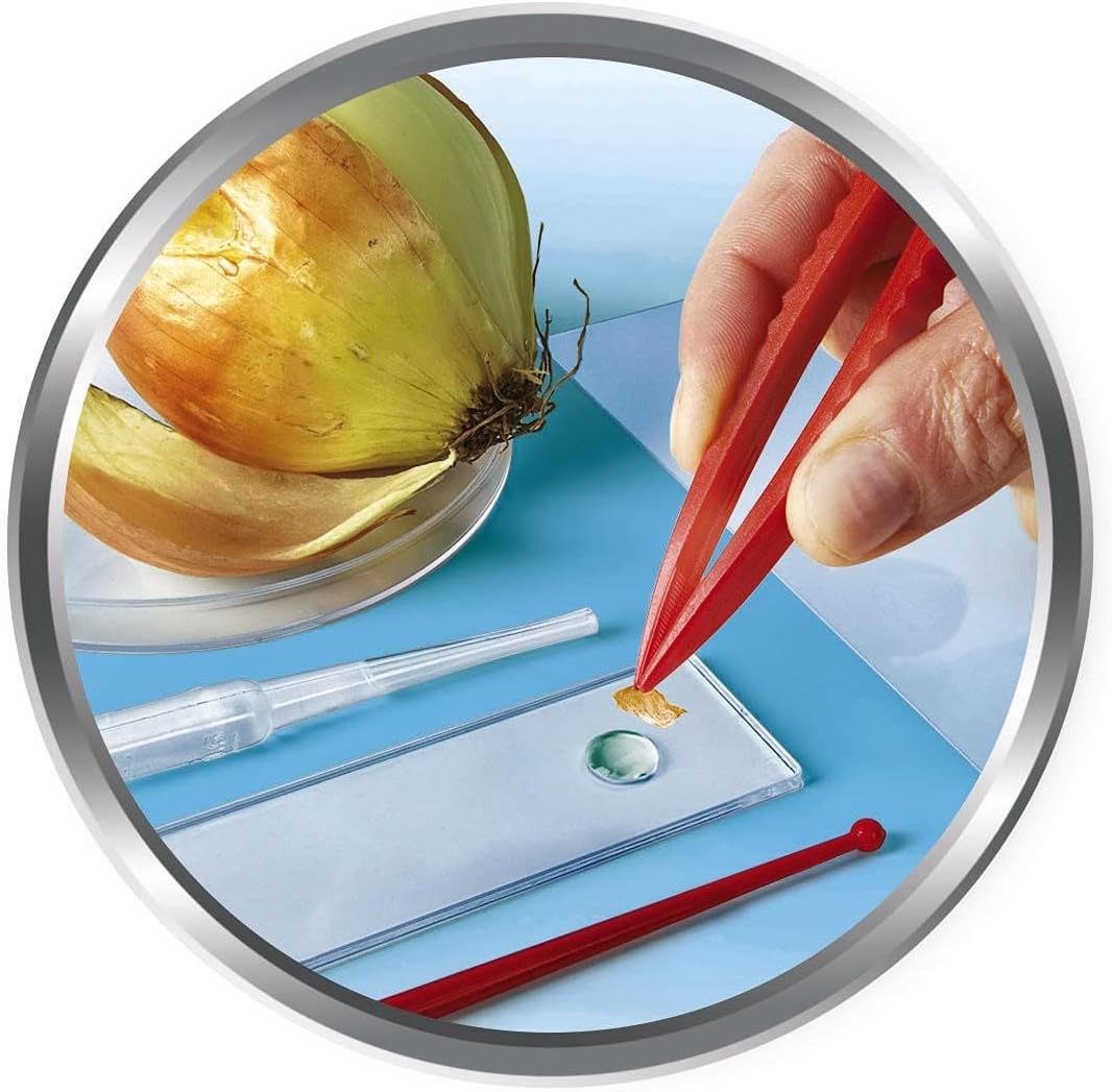 Galileo Lab Kinder-Mikroskop-Set