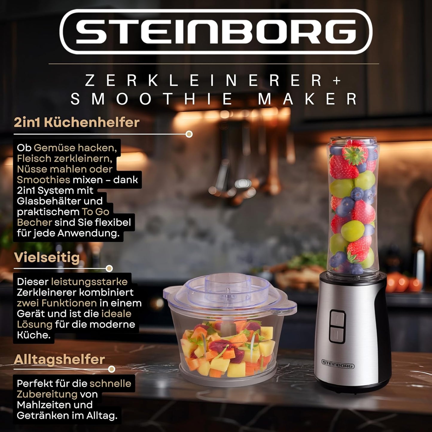 2in1 Standmixer & Multizerkleinerer Set