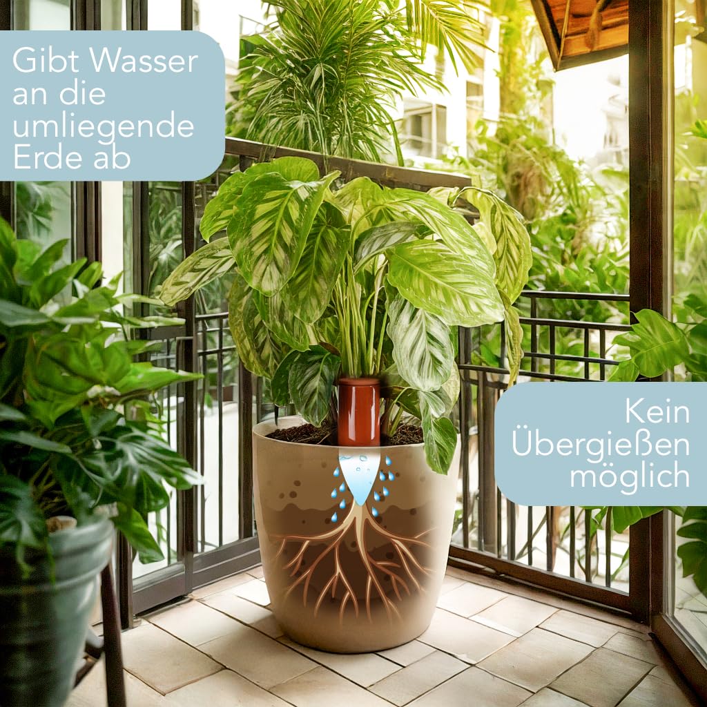 Giesshilfe für Zimmerpflanzen, 2x 530 ml, 2 Stk. je 530ml