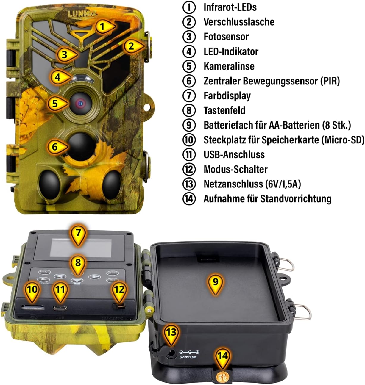 VC24