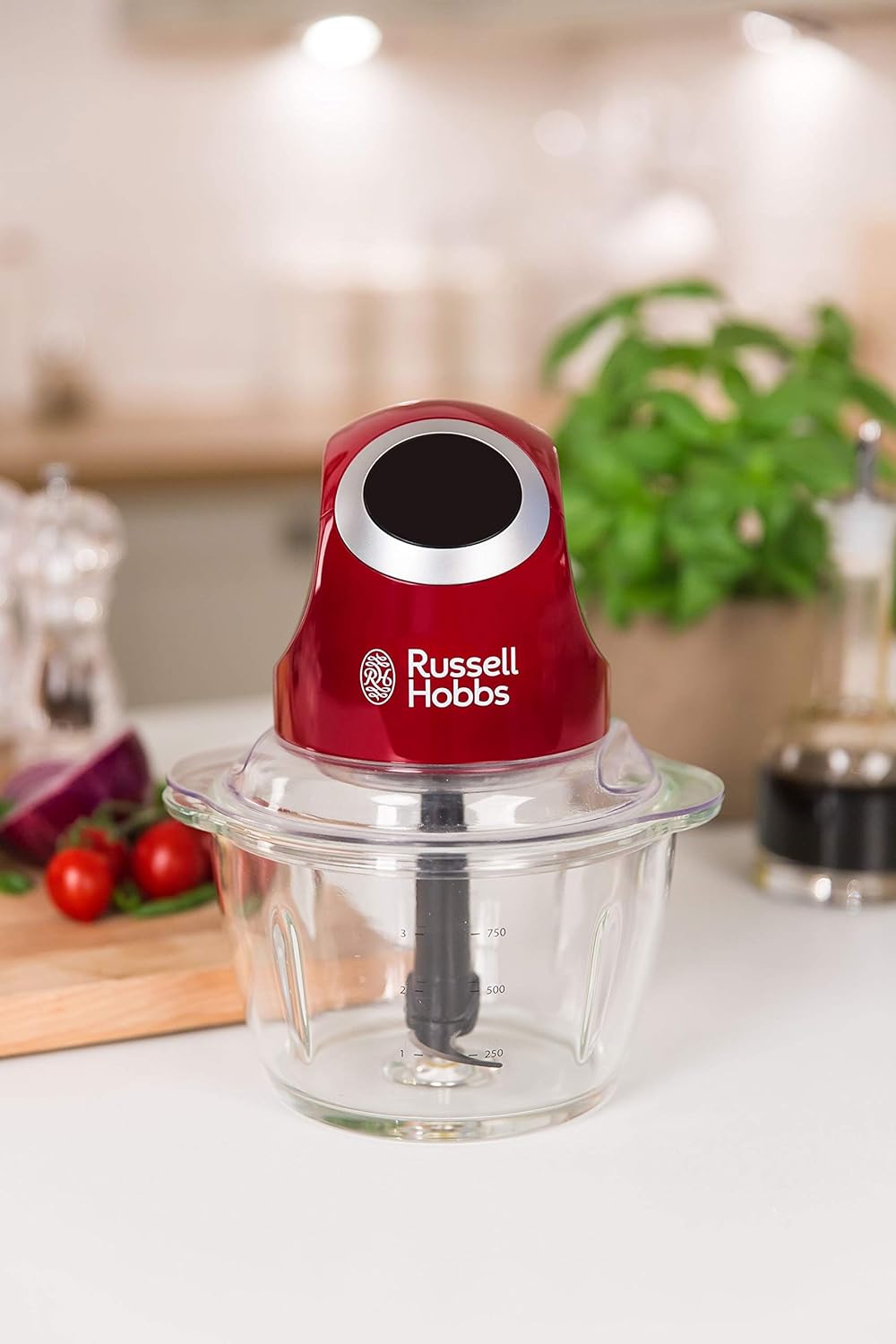 Elektrischer Mini-Zerkleinerer mit Glasbehälter (500ml)
