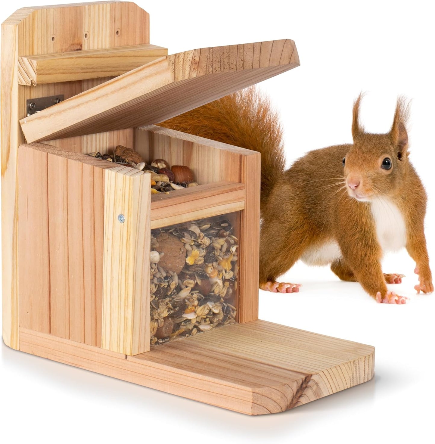 Wetterfeste Futterstation für Eichhörnchen