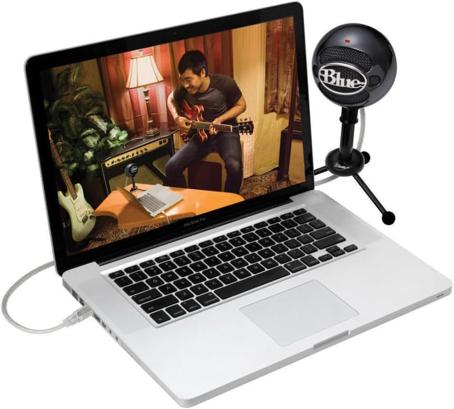 Snowball USB-Mikrofon, Schwarz