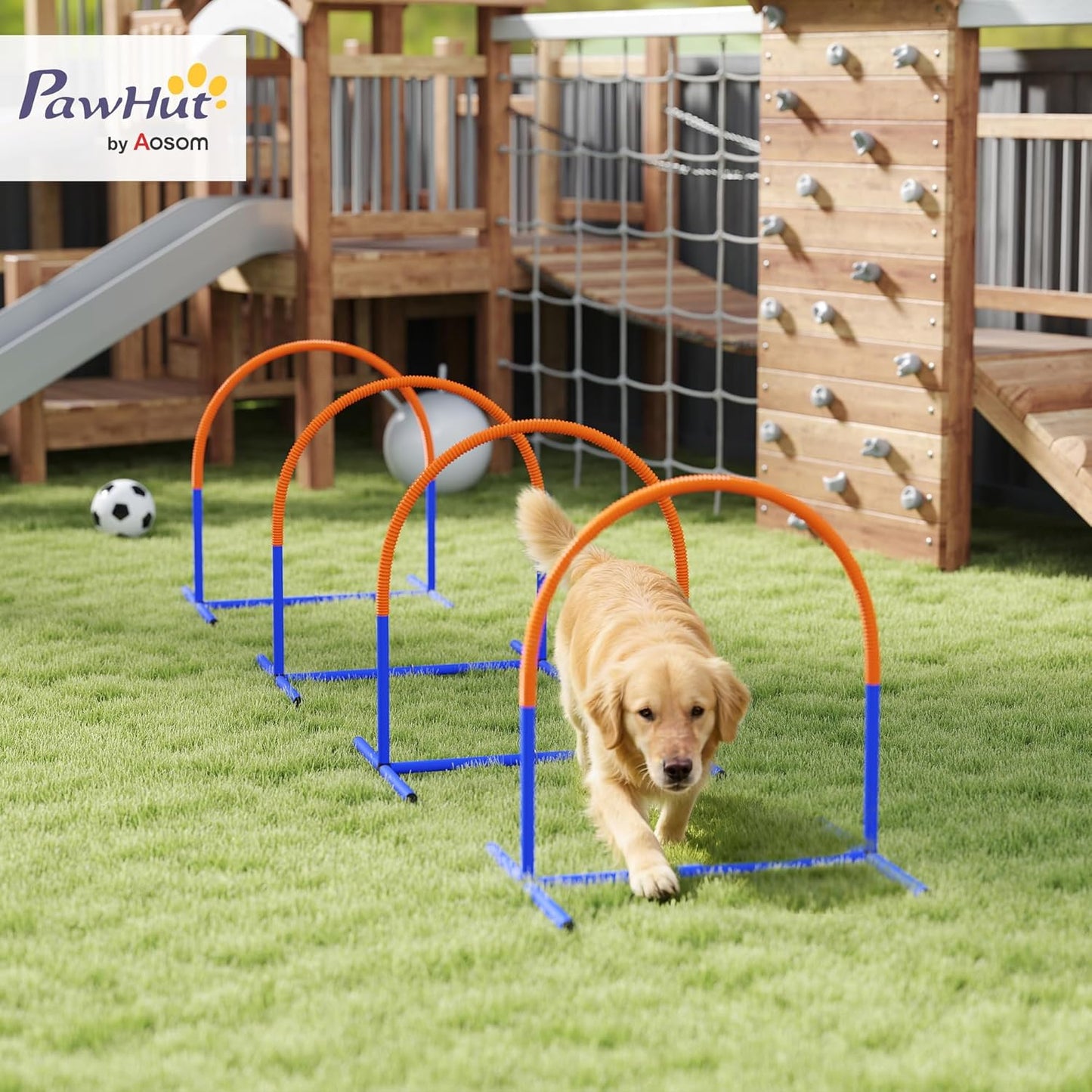 Hund Agility Set mit Tragetasche, Mehrfarbig