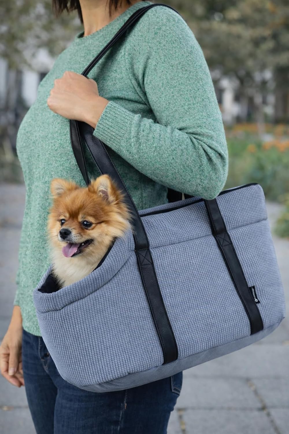 Tragetasche für Hunde mit Sicherheitsleine, Blau Medium
