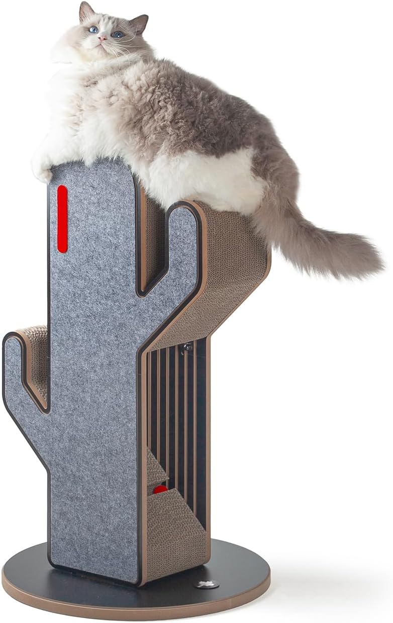 Kratzsäule Kaktus