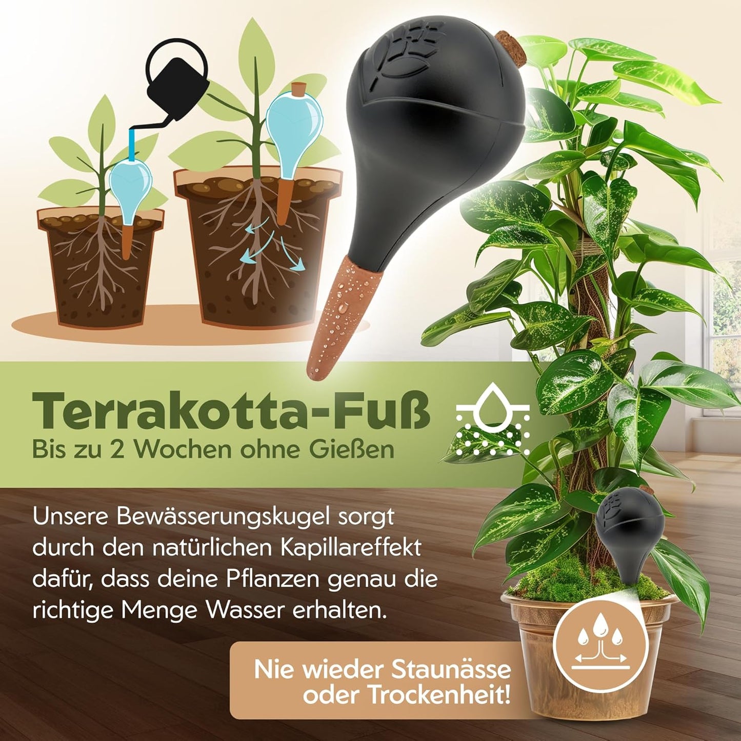 6er-Set Bewässerungskugeln, Schwarz 6
