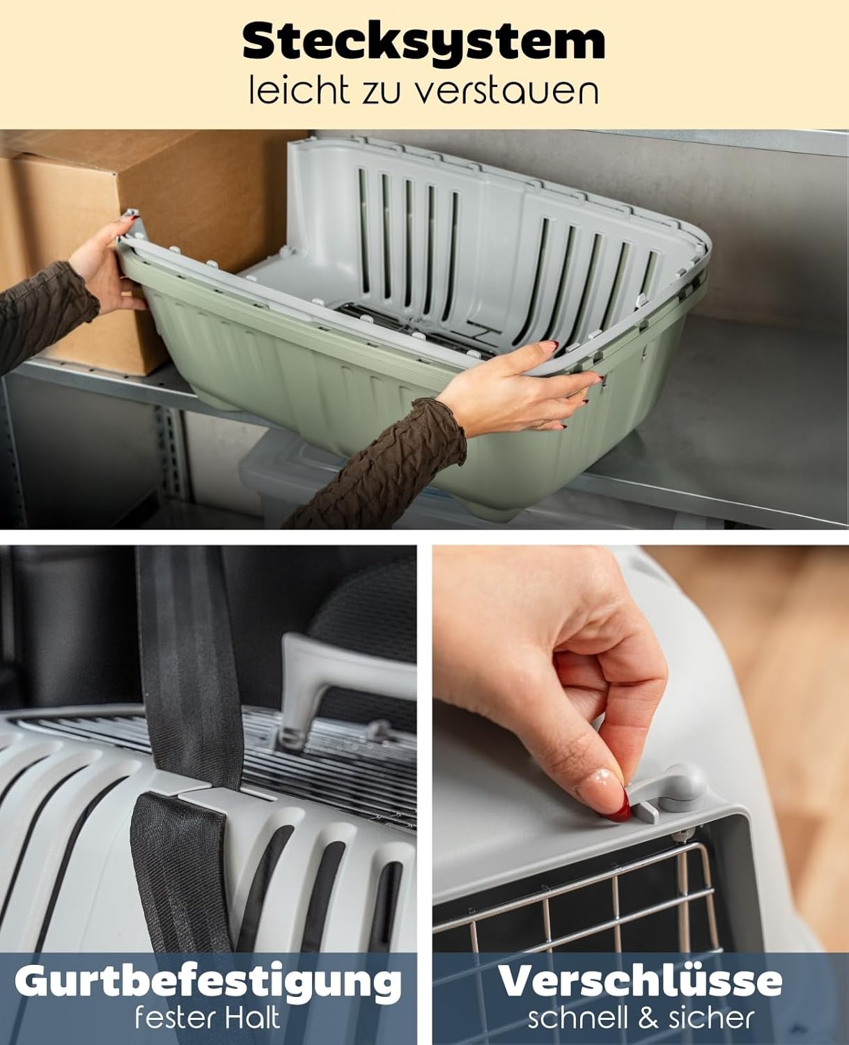 Hundetransportbox, Hellgrün