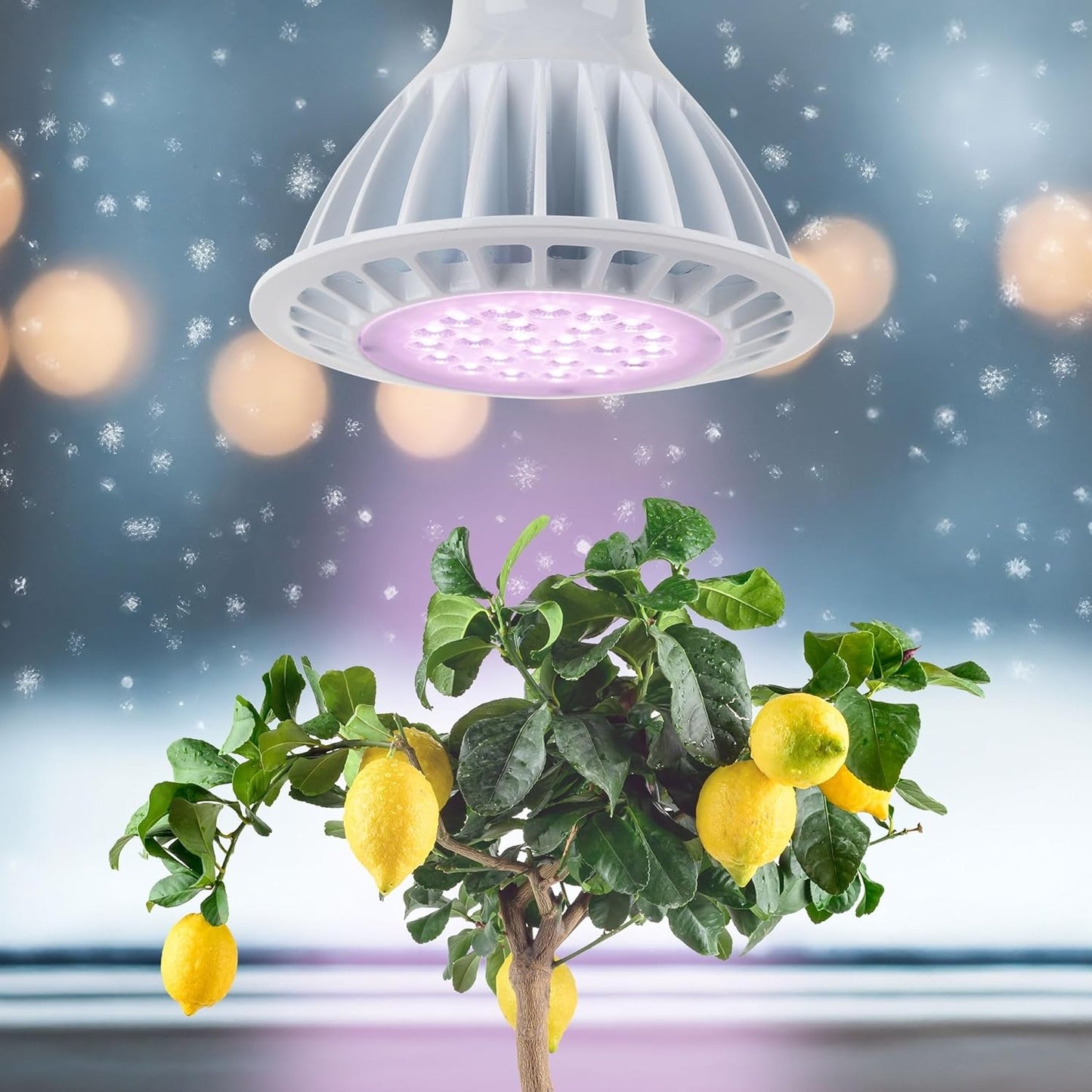 LED-Pflanzenlampe SPOT