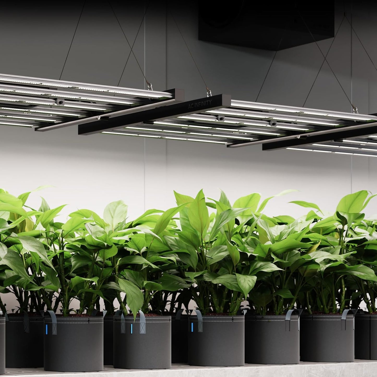 Ionframe Evo8 LED Grow Light 730 W, Vollspektrum, 5x5, 730W
