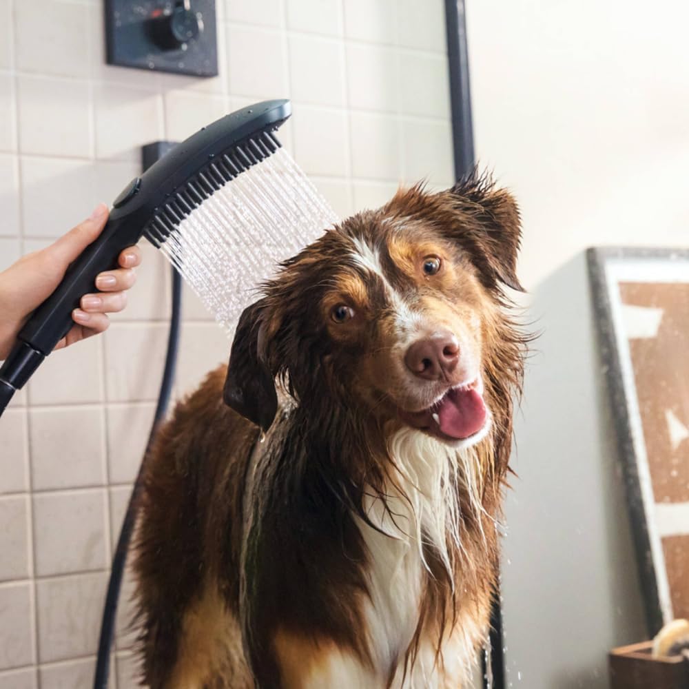DogShower Hundebrause, Mattschwarz
