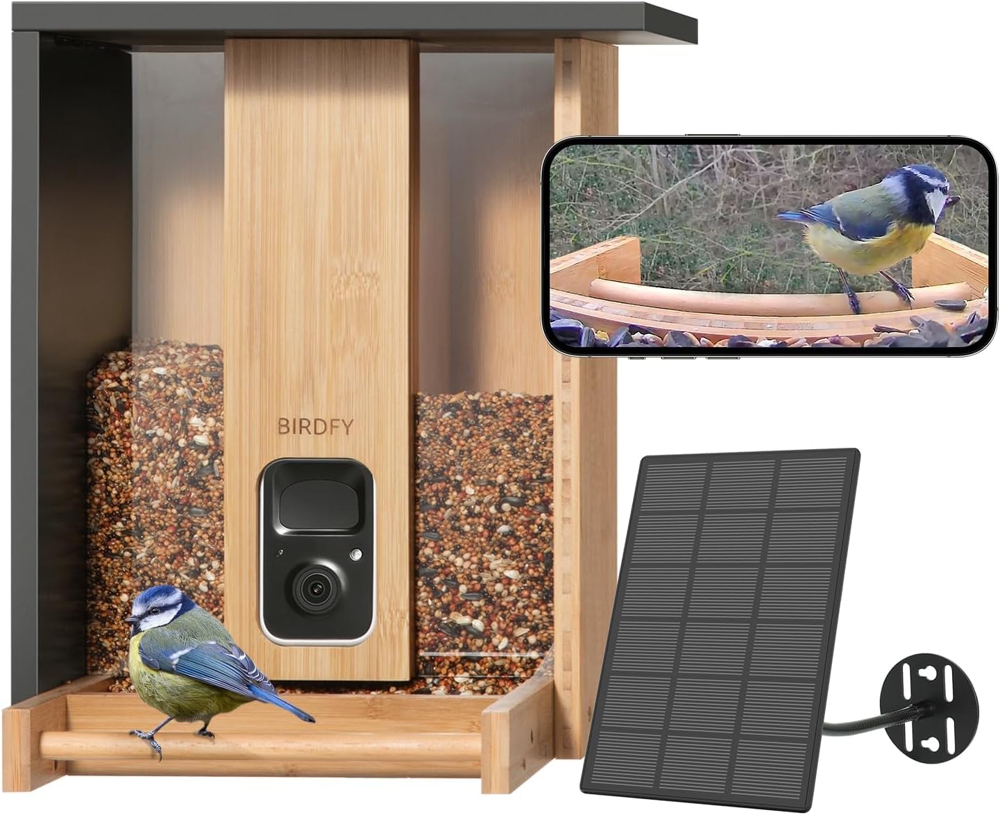 Vogelfutterhaus mit Kamera und Nachtsichtfunktion, AI by Subscription
