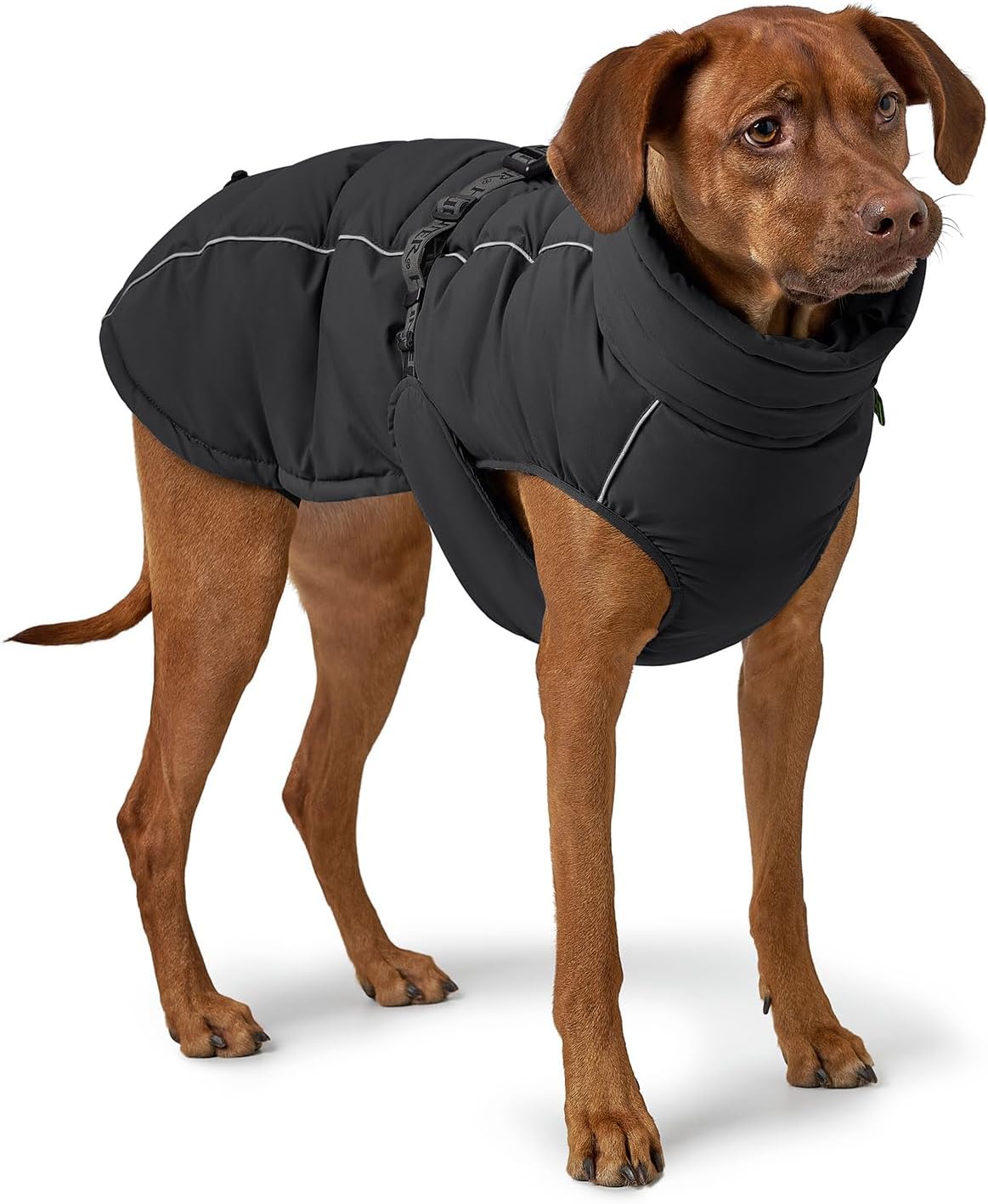 Stylischer Hundemantel, 80 schwarz