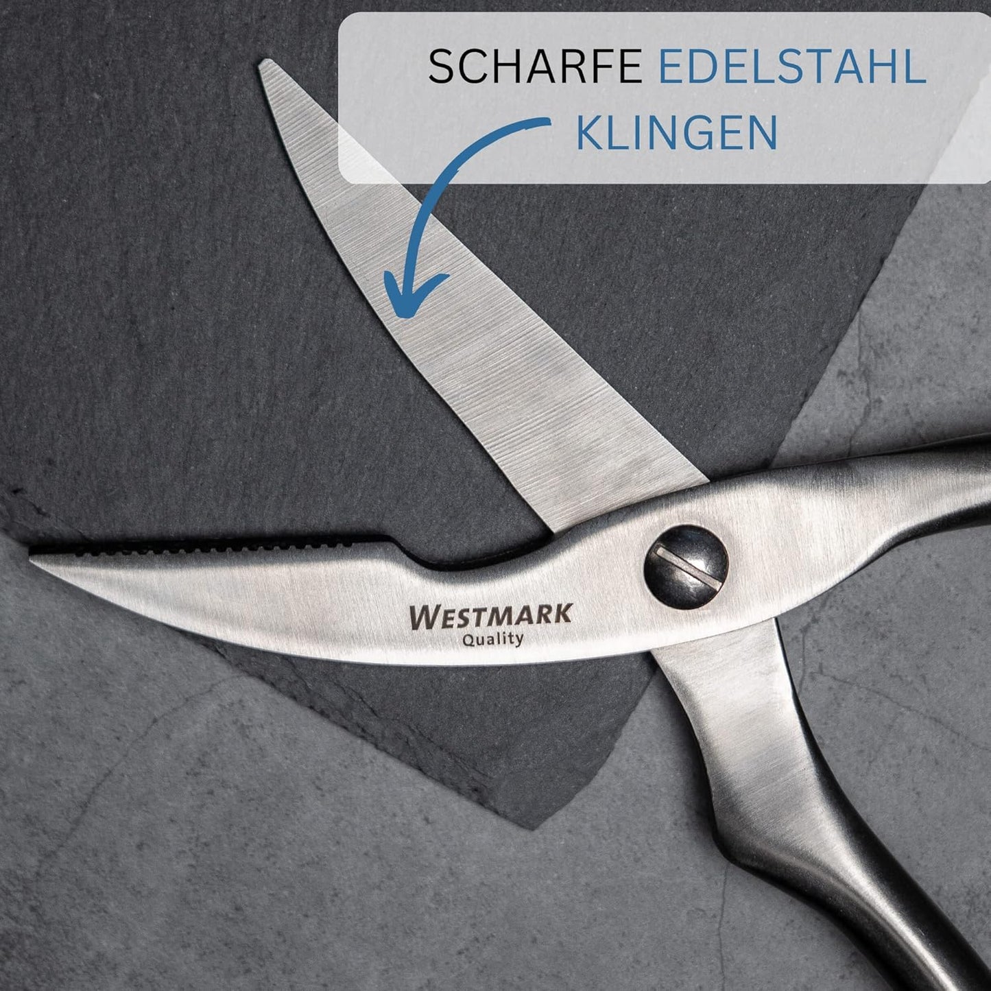 Geflügelschere mit Marinierpinsel, Modern, Set 2tlg.