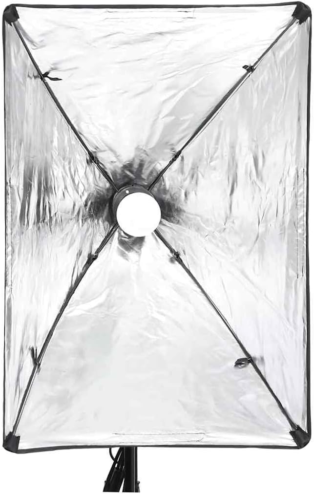 Fotostudio-Beleuchtungs-Set mit Softboxen und Hintergründen, 190237