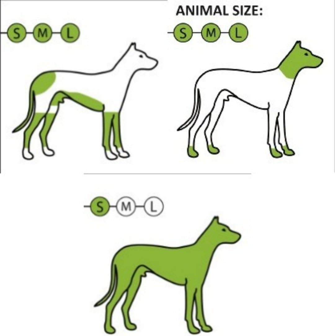 Arco Pro Akku-Hundeschermaschine