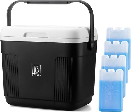 Kompakte Kühlbox mit Kühlakkus, 22 Liter - Schwarz