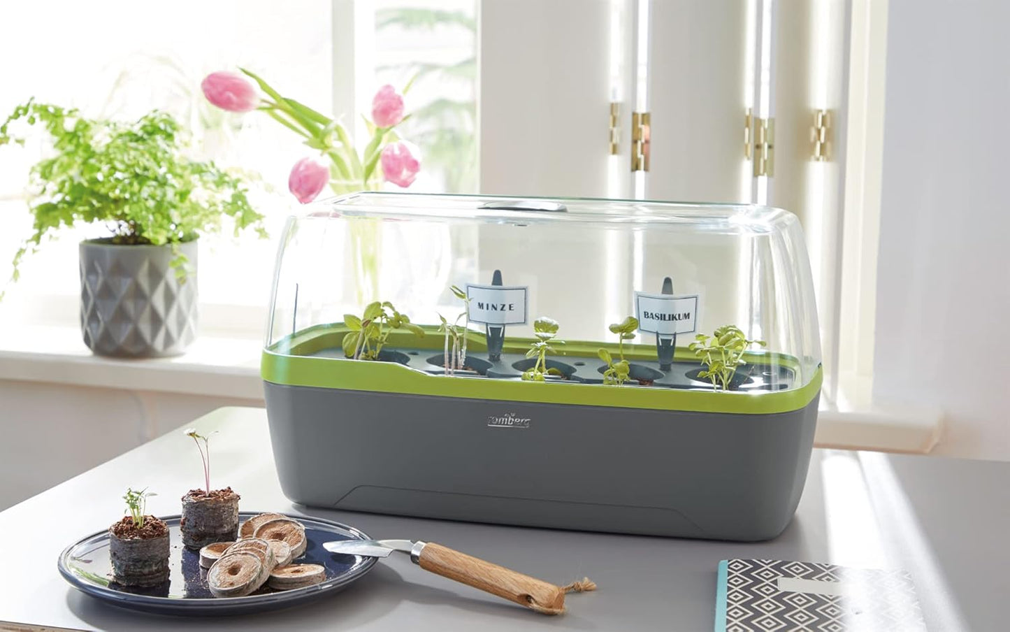 BoQube L Plus Pflanzsystem, Anthrazit-sommergrün, BoQube L Plus