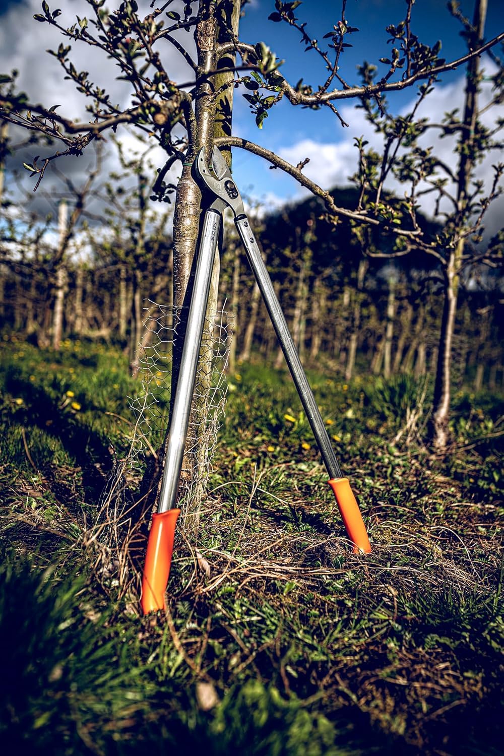 Profi Amboss Astschere 80 cm antihaftbeschichtet, Länge 80 cm