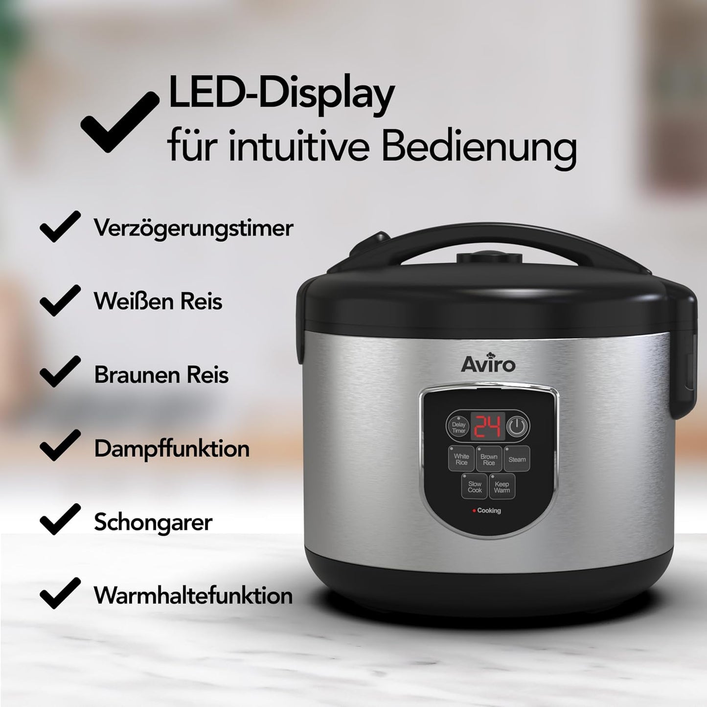 Reiskocher & Slow Cooker