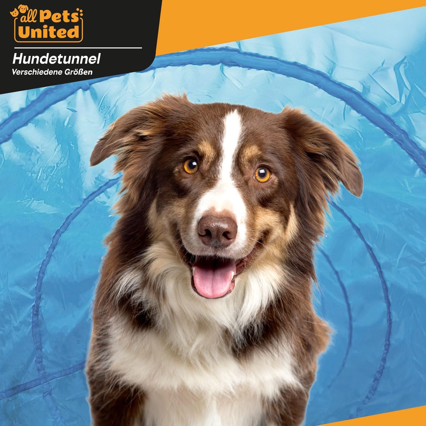 Agility Hundetunnel mit Heringen und Tragetasche, 300 cm