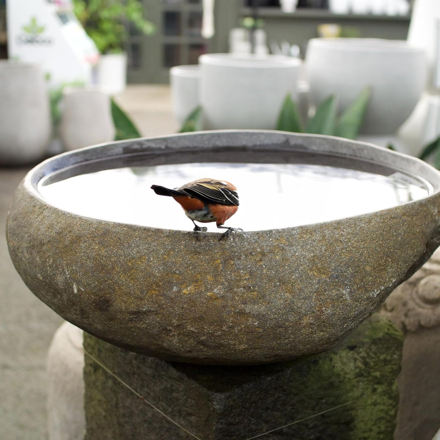 Steintrog Vogeltränke aus Naturstein (handgefertigt)