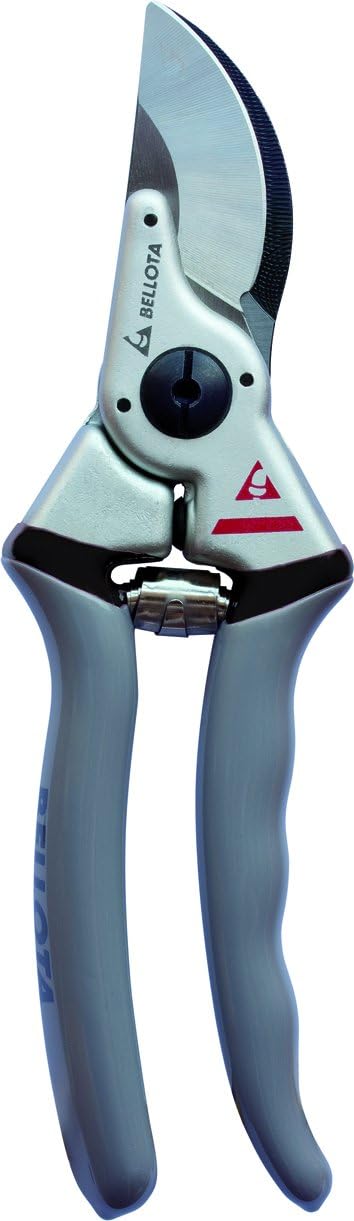 Baumschere Proline