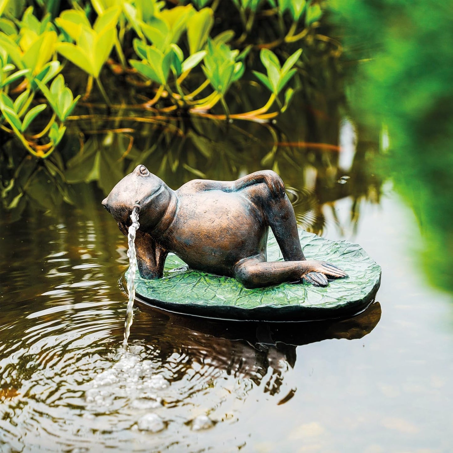 Solar Wasserspeier Set Frosch auf Seerosenblatt