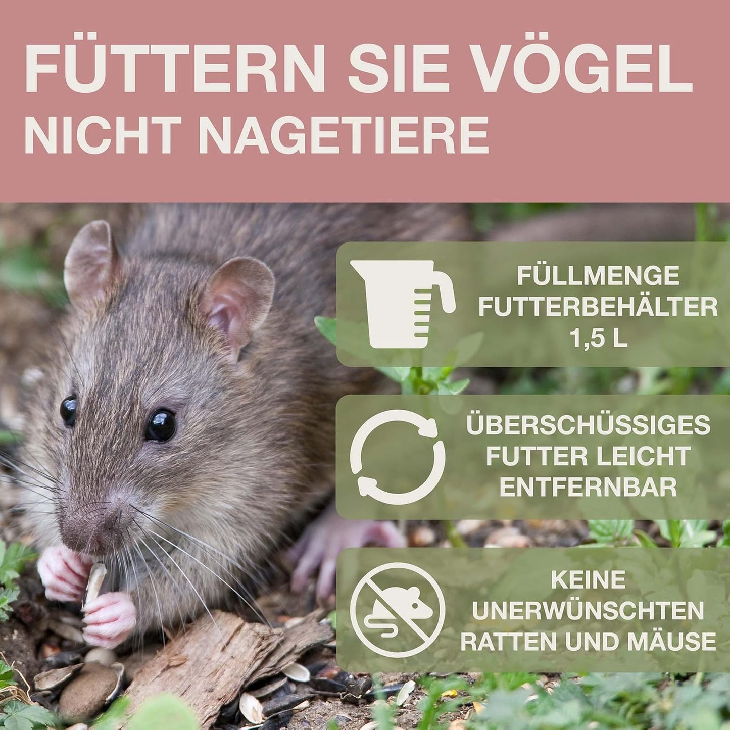 Vogelfutterhaus Davos, Staubiges Rosa Davos