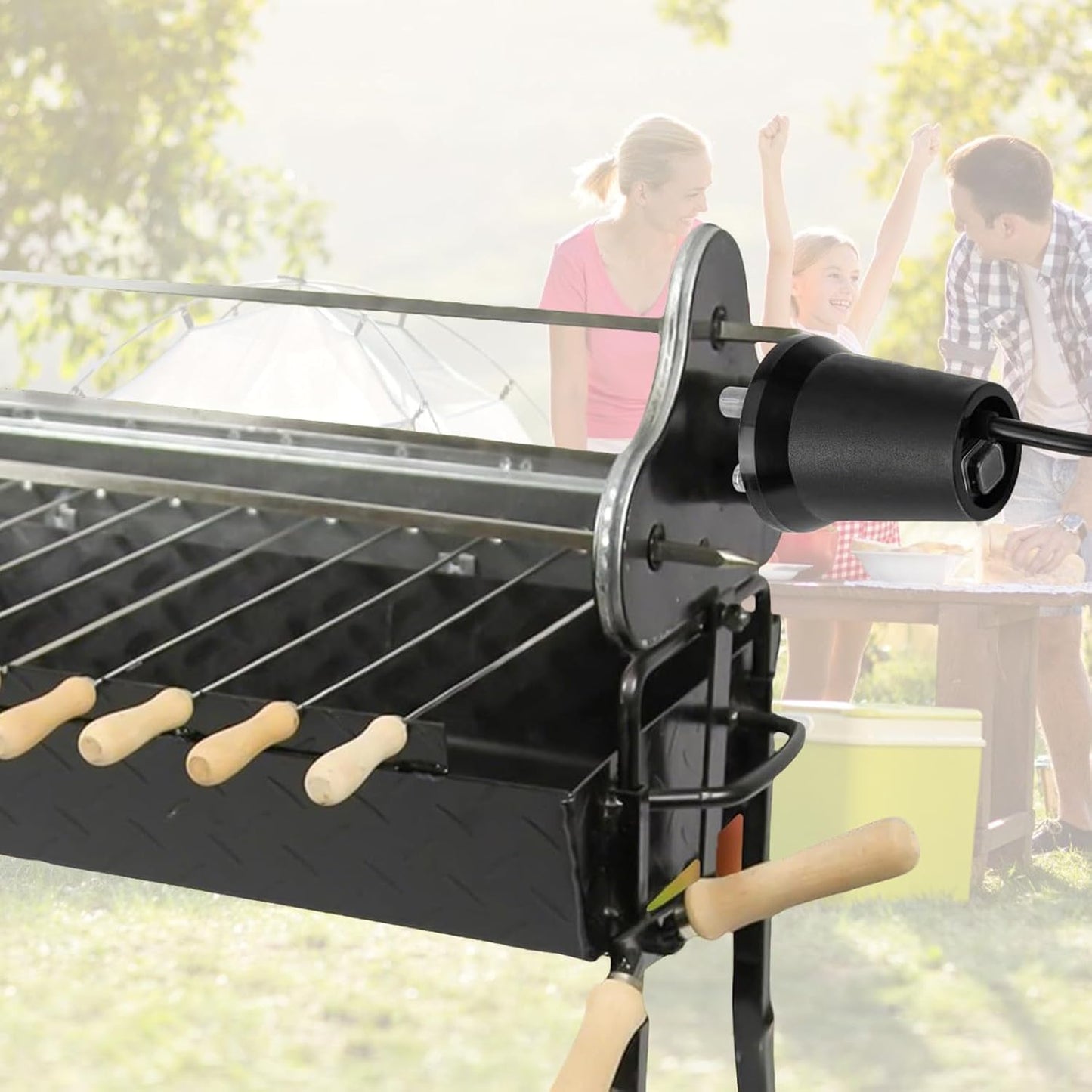 Barbecue Drehmotor FD801B