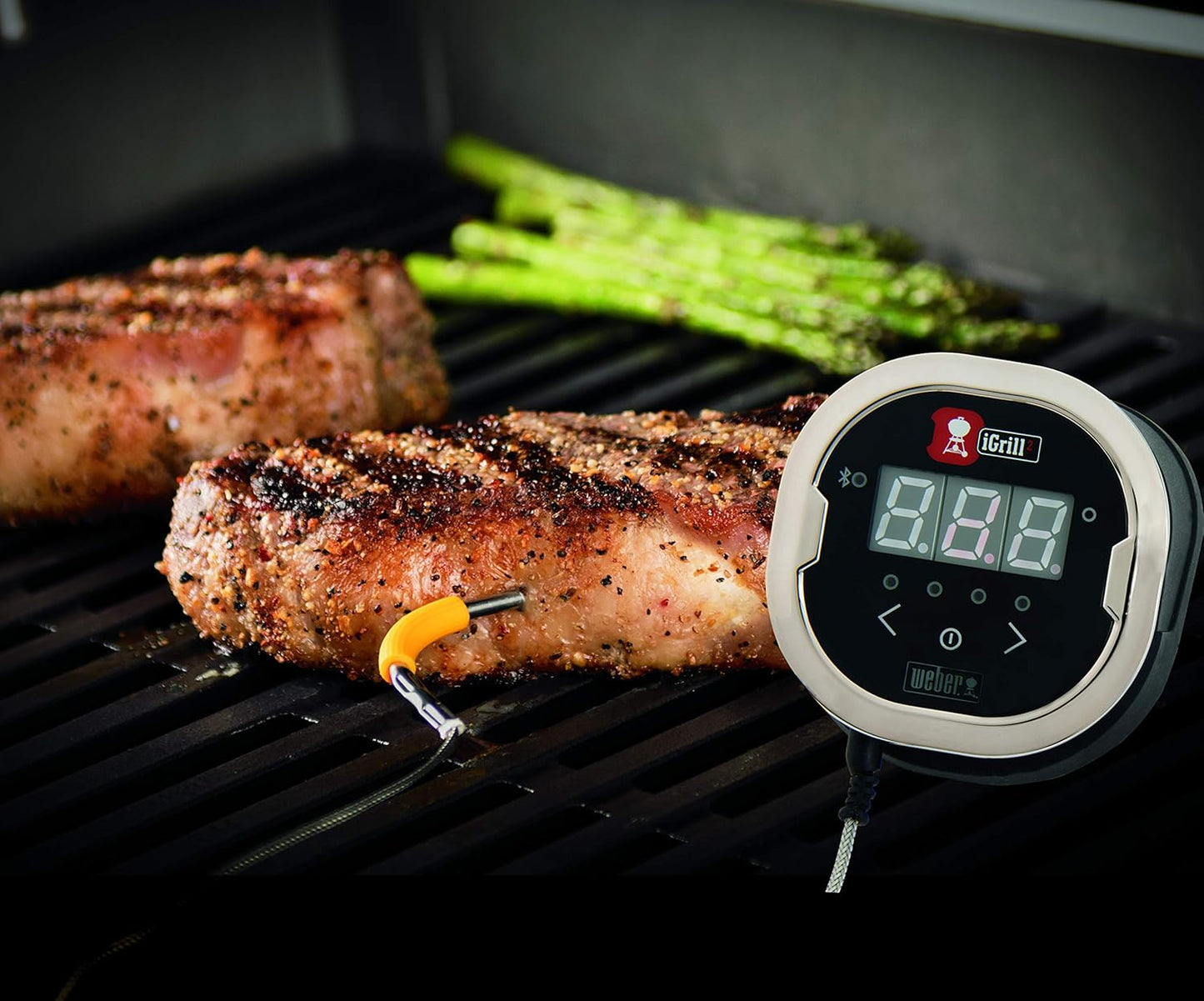 iGrill 2 Fleischthermometer, iGrill 2