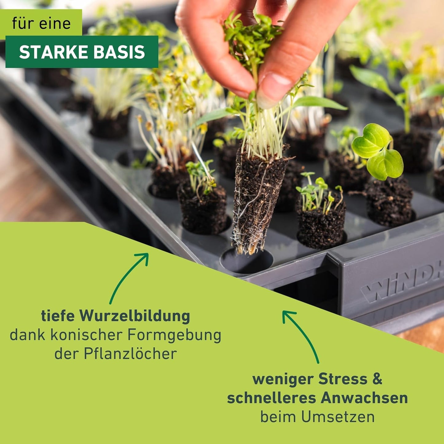 Wurzeltrainer RootXtender für 40 Pflanzen