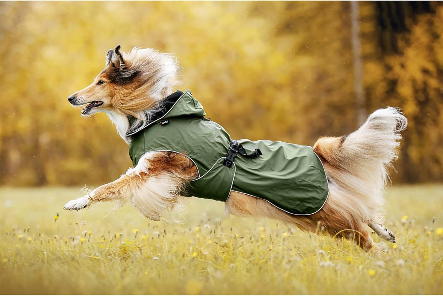 Streamy Eco Hunde-Regenmantel, 55 Dunkel Olivgrün