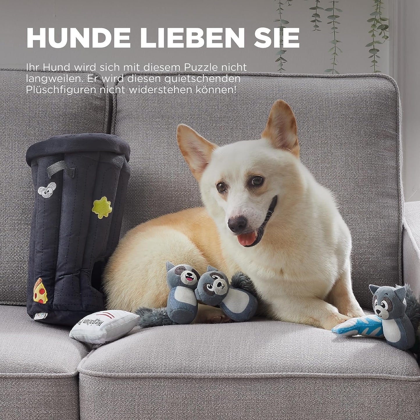 Hundespielzeug "Verstecken Sie einen Waschbär", Waschbär