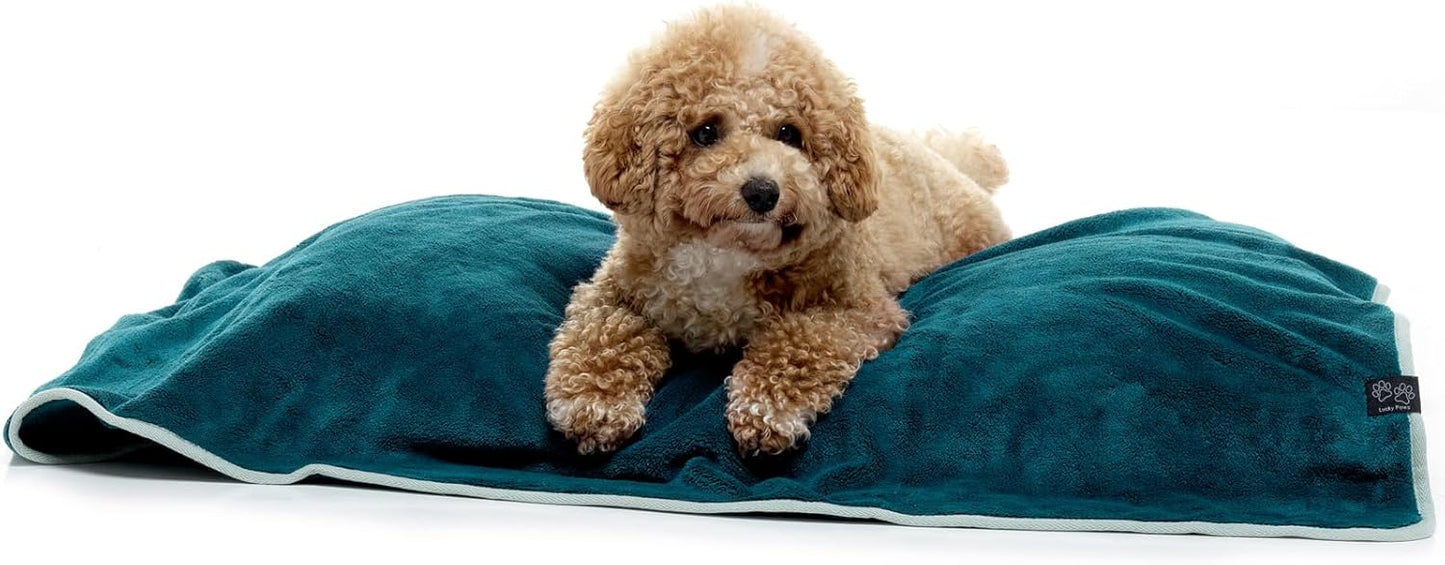 Hundehandtuch, Teal Pack of 1