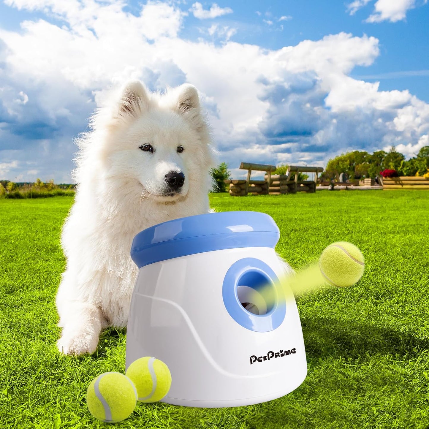 Automatischer Hunde-Ballwerfer mit 3 Tennisbällen, Klein Ballwerfer Blau