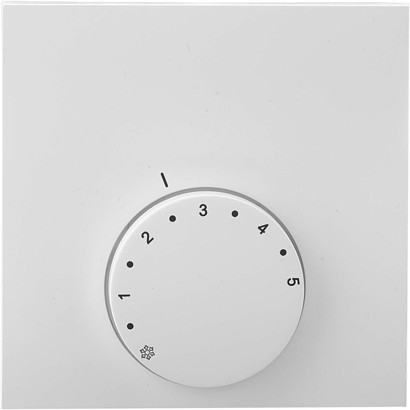 Raumthermostat