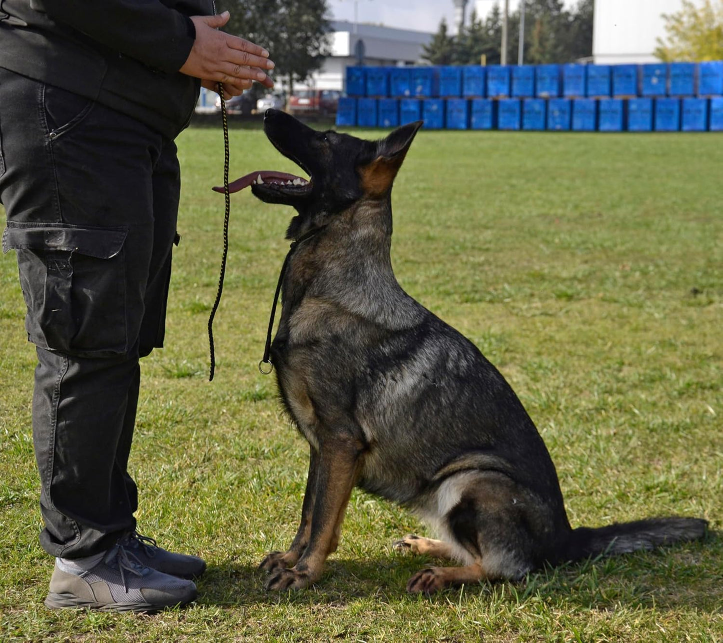 Trainingshalsband für Hunde, xs Dünne 1 Begrenzung