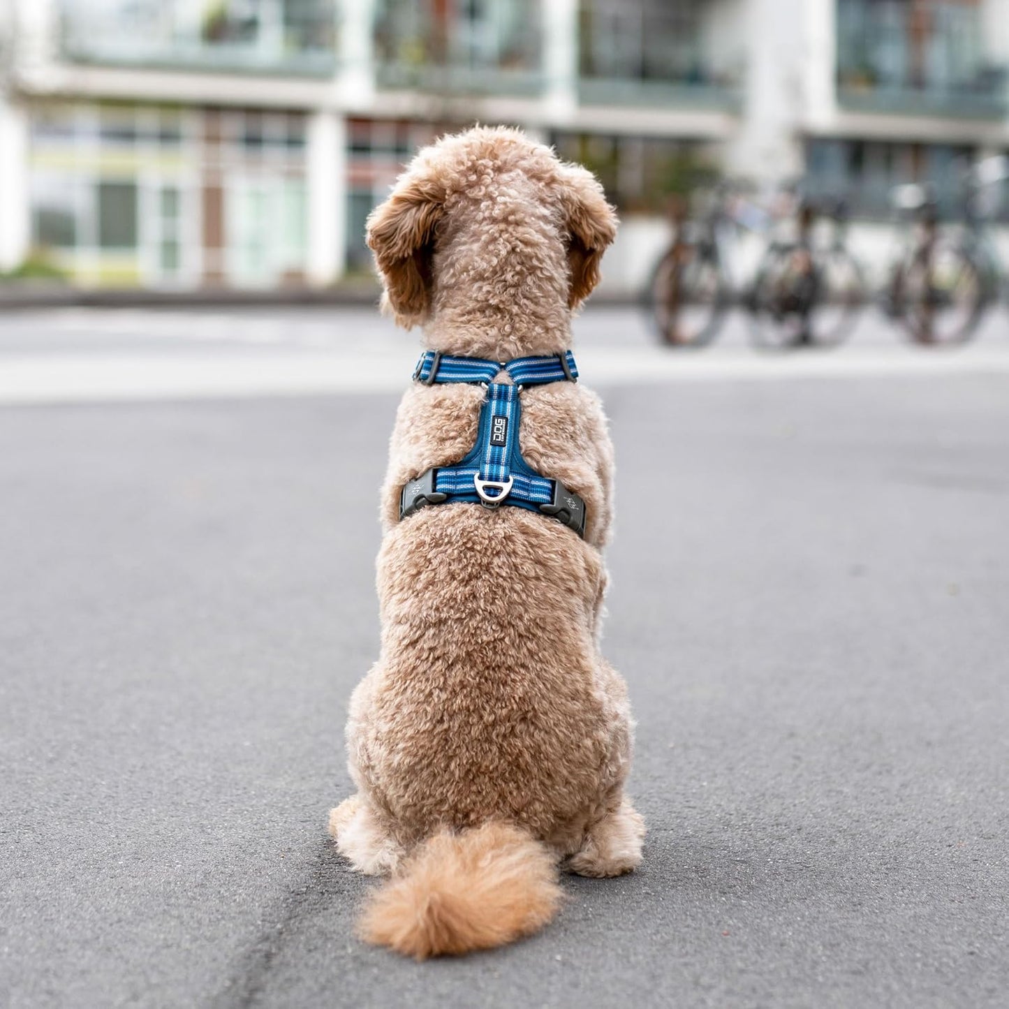 Comfort Walk Air 3.0 Hundegeschirr, Ocean Blue XS