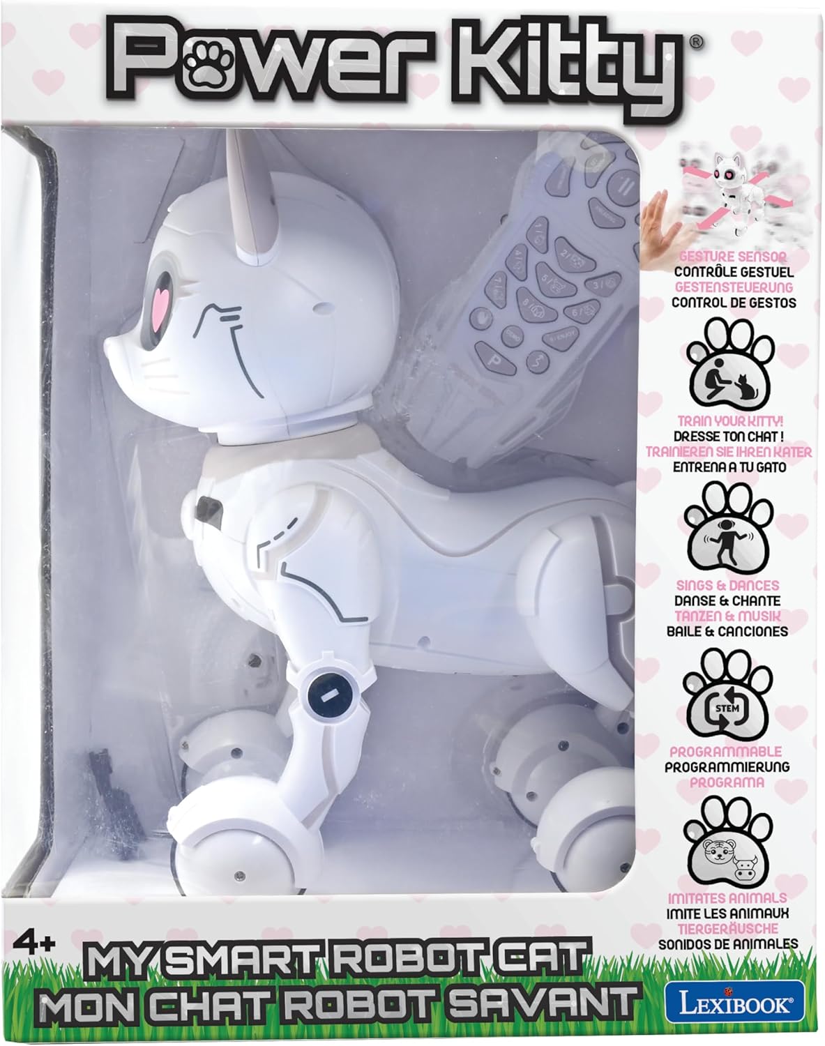 Robotic Kitty, KITTY01