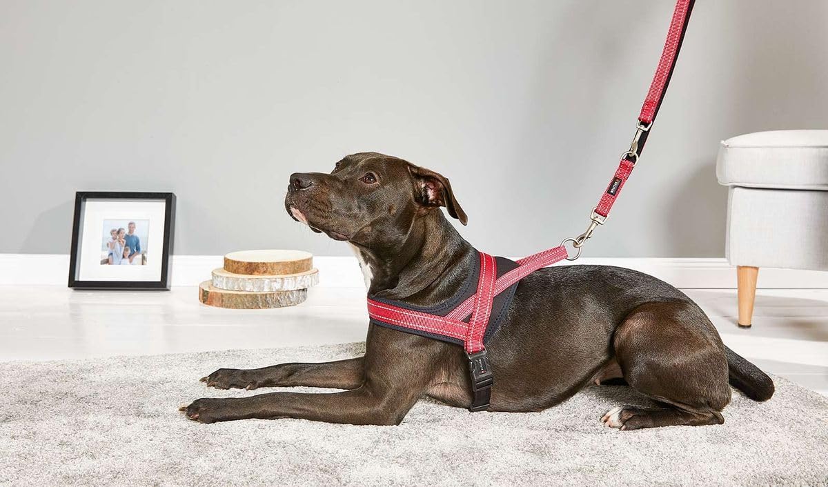 Reflektierendes Hundegeschirr Soft & Safe, 35 - 45 cm cayenne/schwarz