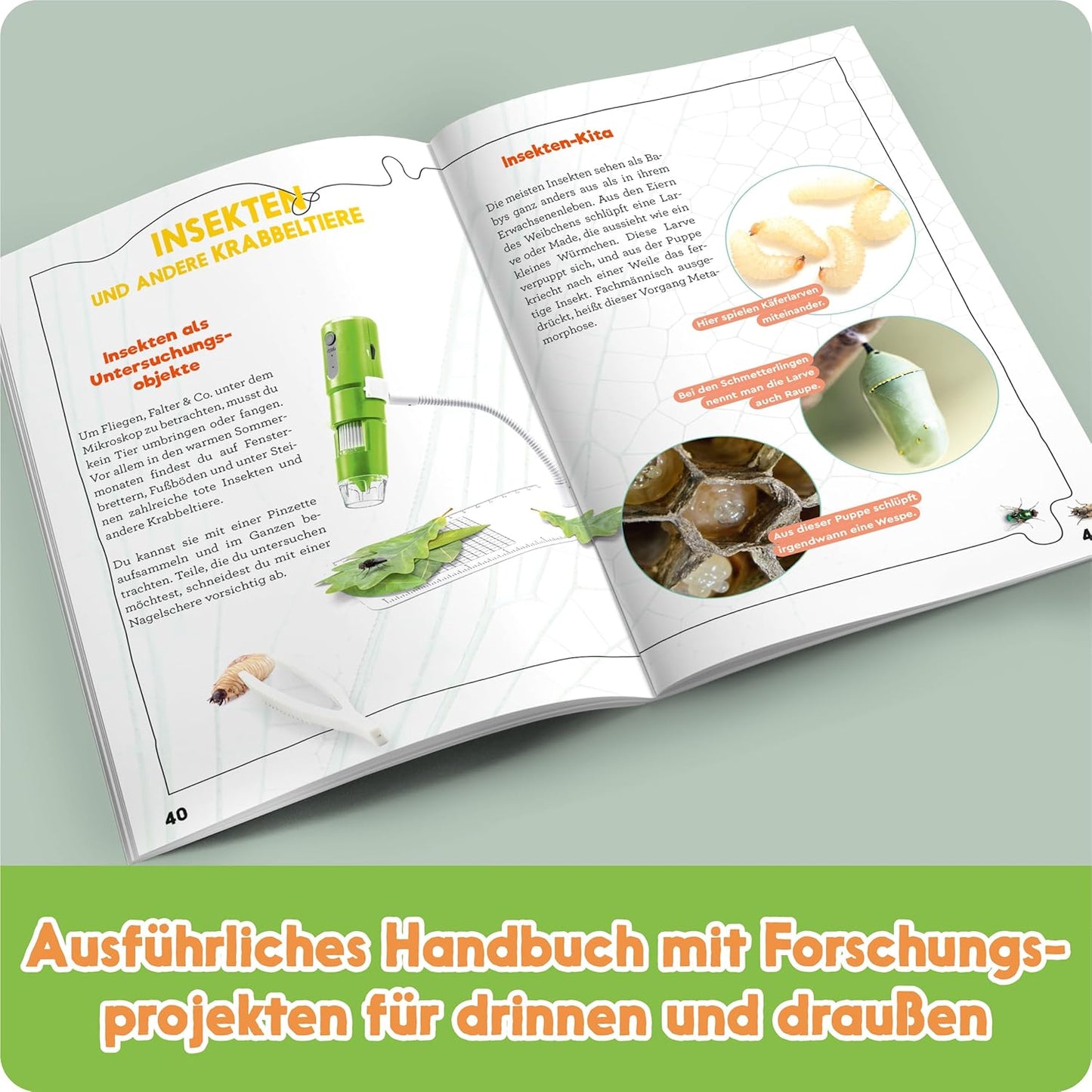 Digitales Mikroskop - Das grosse Entdecker-Set