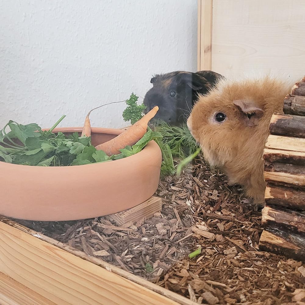 Waldbodeneinstreu für Kleintiere
